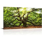 Conipit Oak Tree Wall Art Natural Pictures Prints Sunshine Through Tree Canvas Green Angel Oak Painting Framed and Stretched Nature Canvas (W-40xH-20)