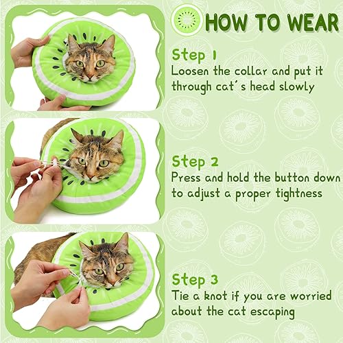Paper Plate Diy Cat Cone Diy Cat Cone Collar Paper Plate E Collar