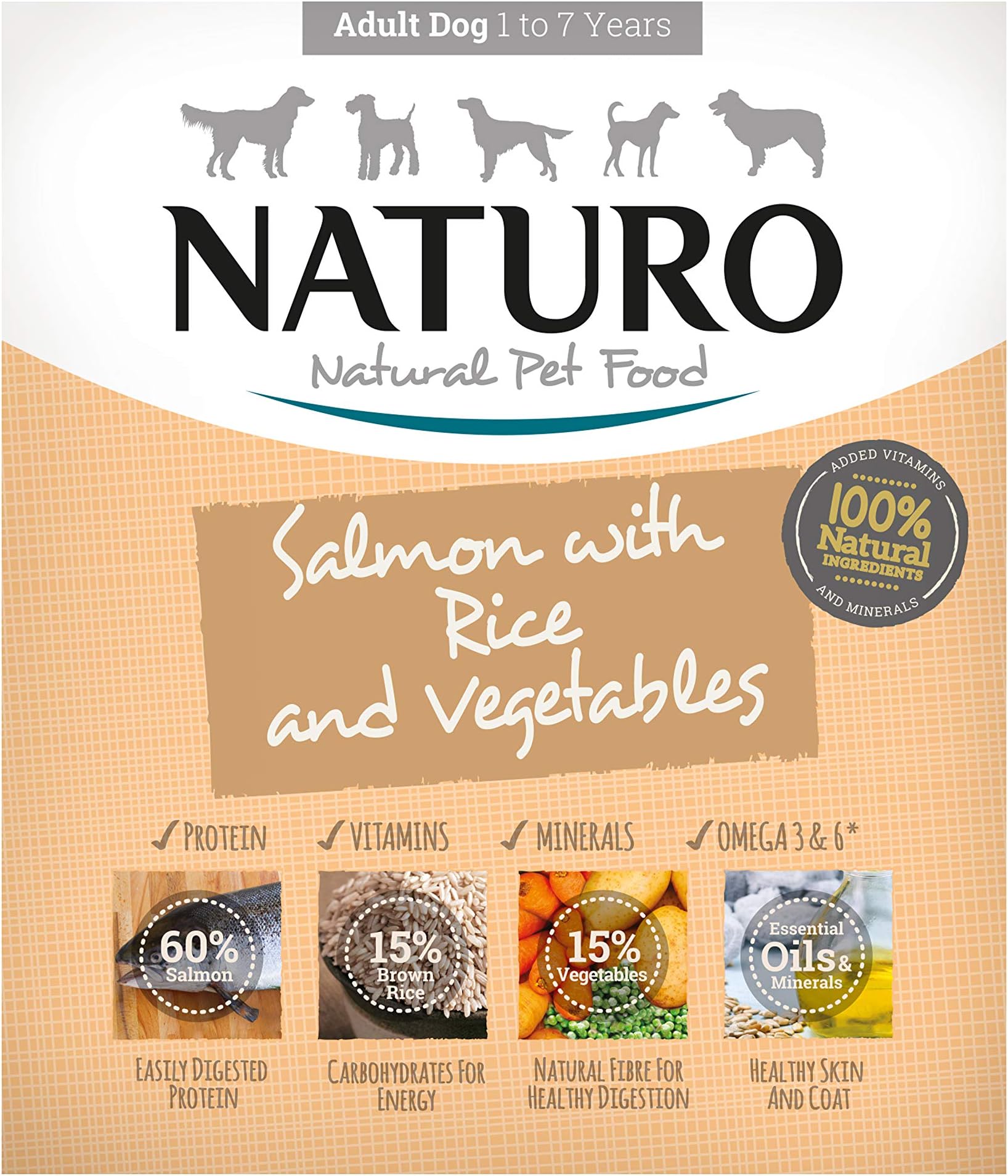 Salmon & Rice with Vegetables Wet Food for Adult Dogs Trays 400g x 7