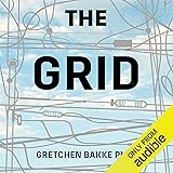 The Grid: The Fraying Wires Between Americans and