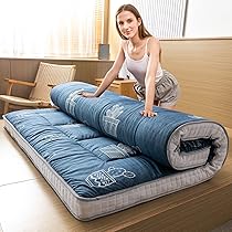 Amazon.com: MAXYOYO Futon Mattress, Queen Size, Blue, Plush