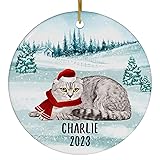 Santa Hat and Scarf Welcome Winter Blue Tabby