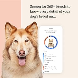 Wisdom Panel Premium Dog DNA Kit: Most