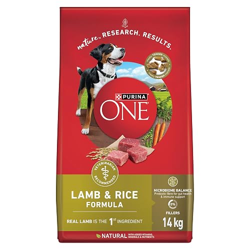 Purina ONE Dry Dog Food, Microbiome Balance Lamb & Rice - 14 kg Bag (1 Pack)