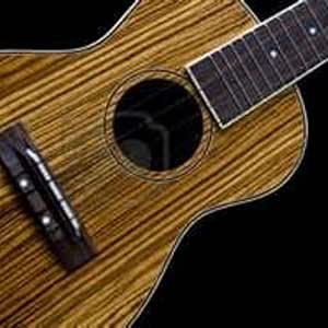 Amazon.com: Easy Ukulele - Ukulele Tuner: Appstore for Android