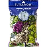 SuperMoss (23311) Elegant Decorative Mixed moss, MultiColor, 120 cu.in., white