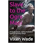 Slave to the Ogre Magi: A rough beast, alpha maledom explicit fantasy story! (Concubine's Tale Book 1)