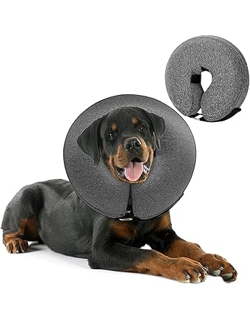 dog protective collar