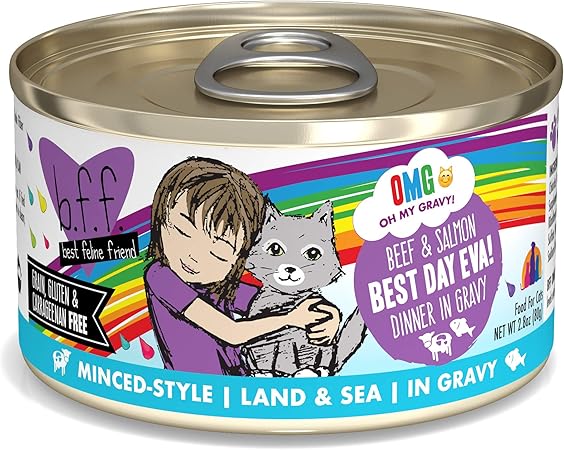best kind of wet cat food
