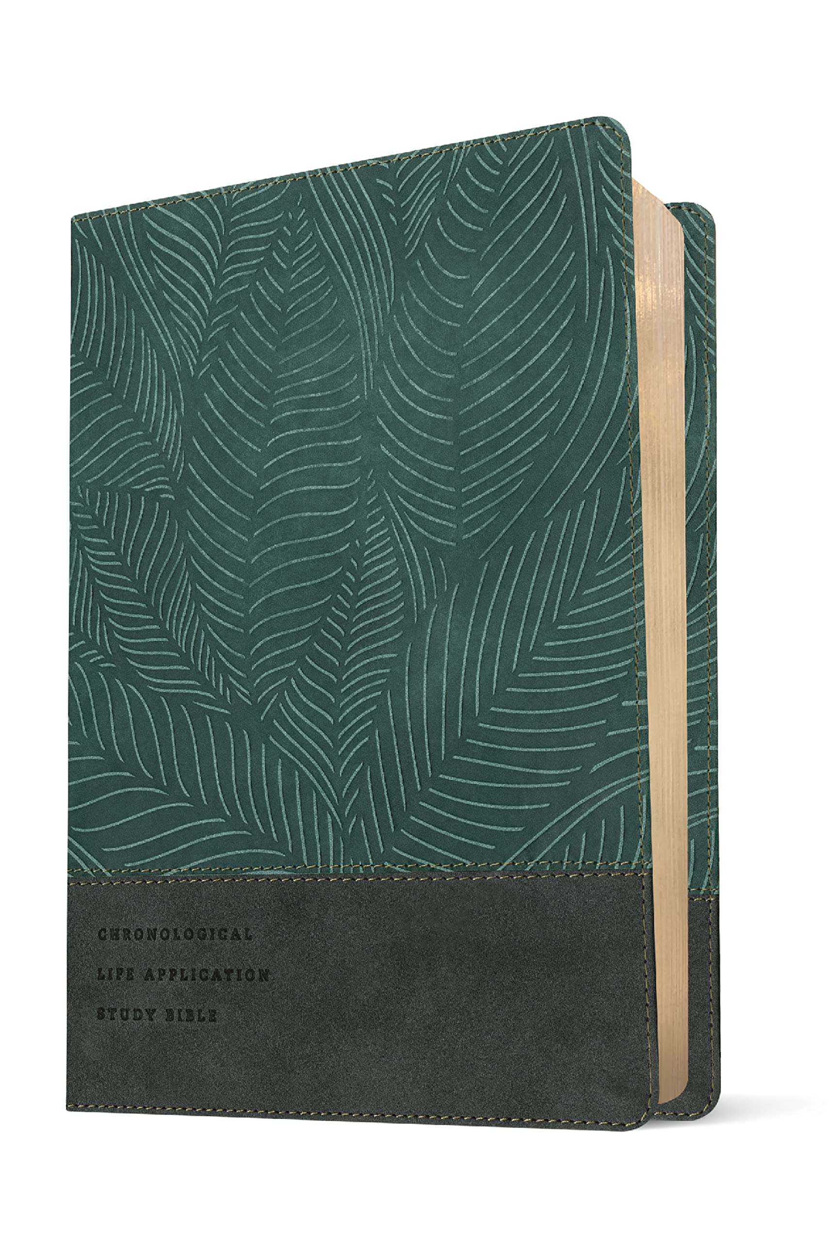 NLT Chronological Life Application Study Bible, Second Edition (LeatherLike, Palm Forest Teal) NLT Chronological Life Application Study Bible, Second Edition (LeatherLike, Palm Forest Teal) Imitation Leather