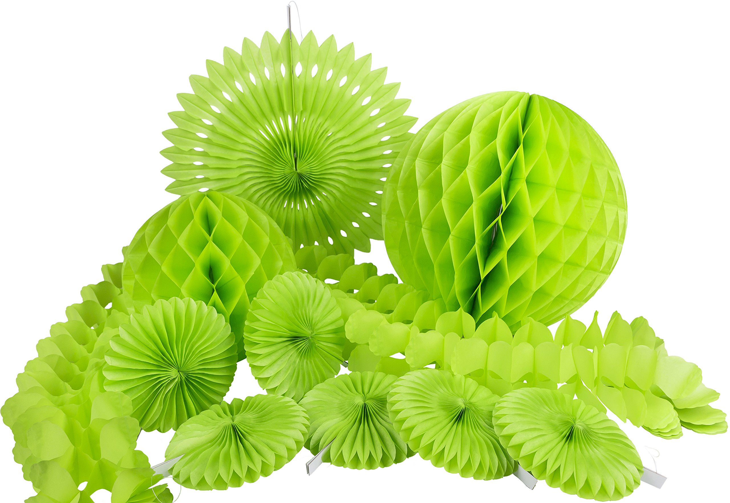 Heku Display Paper 29 x 29 x 2 cm, Paper, Green, 29x29x2 cm