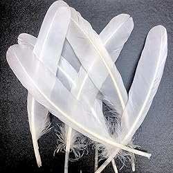 50pcs White Feathers 8~10 in,Beautiful Bulk Long