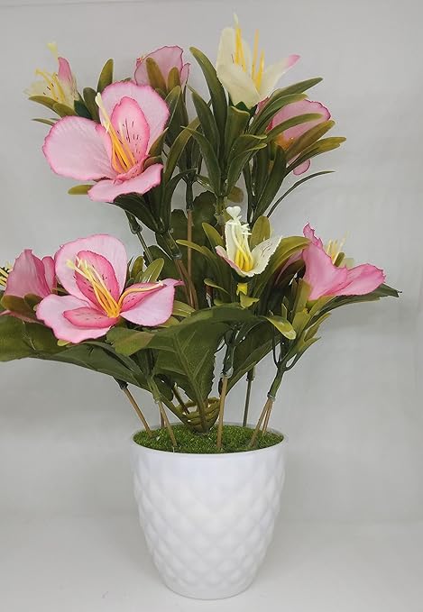 Buy Ethnic Karigari Home Decor Incredible Designer Decorative