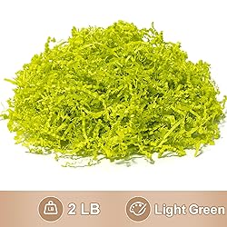 Wowxyz 2 LB Crinkle Cut Paper Shred Light Green