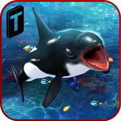 Killer Whale Beach Attack 3D Appstore for Android