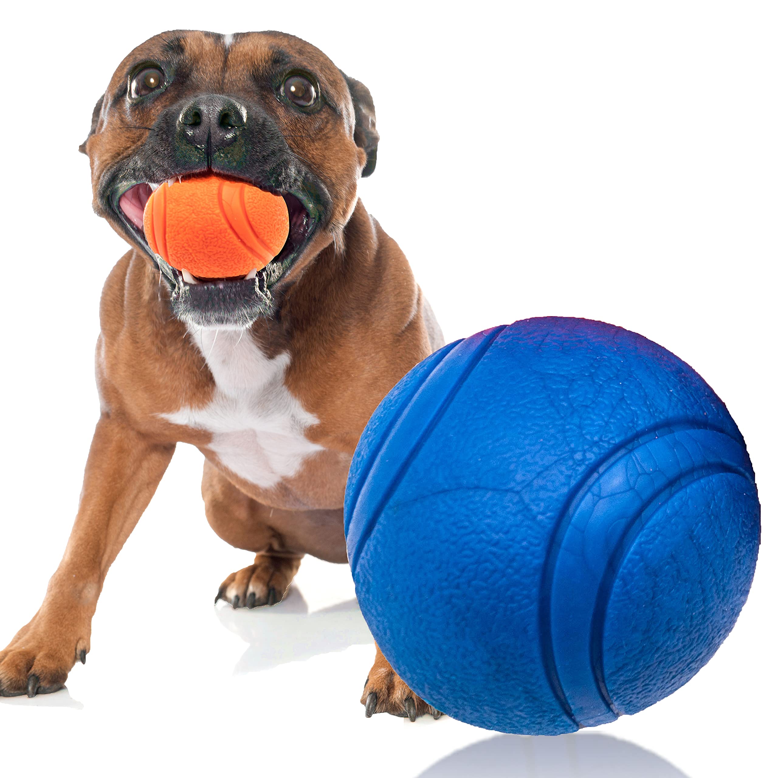 Petopedia 1x Solid Core – HIGH BOUNCING Rubber Ball – Interactive, Virtually Tough Indestructible Dog Toys for Boredom, Strong Balls, Fetch Play, Teething, Training (Blue, 6cm)