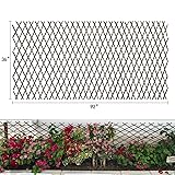 Expandable Garden Trellis Plant Support Willow