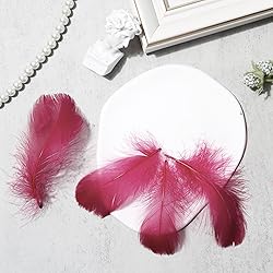 300pcs Maroon Red Feathers 2-3 Inches Bulk Feathers