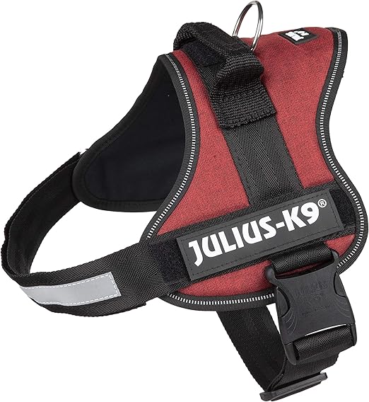 best backpack to carry dog