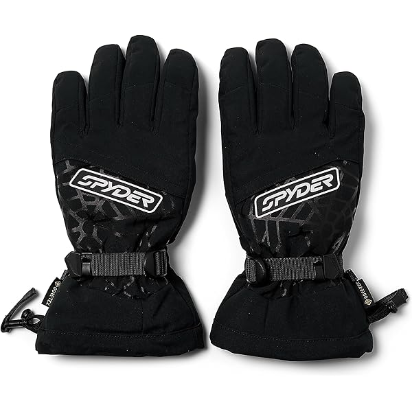 Amazon.com : Hestra Waterproof Gore-Tex Ski Gloves: Mens and