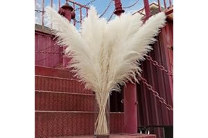 CKBT 10pcs 40'' White Pampas Grass Tall Decor - Pompas Floral, Tall Pampas Grass for Floor Vases, Living Room Floor, Floor Plants, Plumas para, and Grass Wall Decor