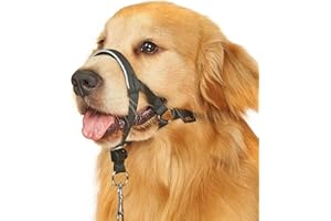 BARKLESS Head Collar for Dogs, No Pull Head Halter for Large Medium Small Dogs, Dog Halter Stops Heavy Pulling, Muzzle Leash with Padded Safety Strap for Walking Training(Black, M)