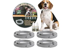 TRIHOOD 4 Pack Flea & Tick Prevention for Dogs Collar with Natural Essential Oils, Waterproof Adjustable Dog Flea and Tick Prevention Collar for Dogs, 8 Months Prevention