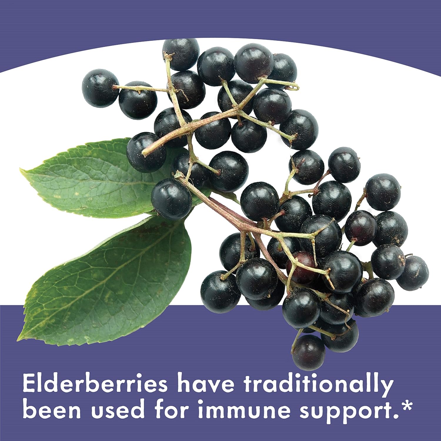 Nature's Way, Sambucus Elderberry, 3200 mg per Serving, Immune Support, with Vitamin C and Zinc, Gluten Free - Image 5