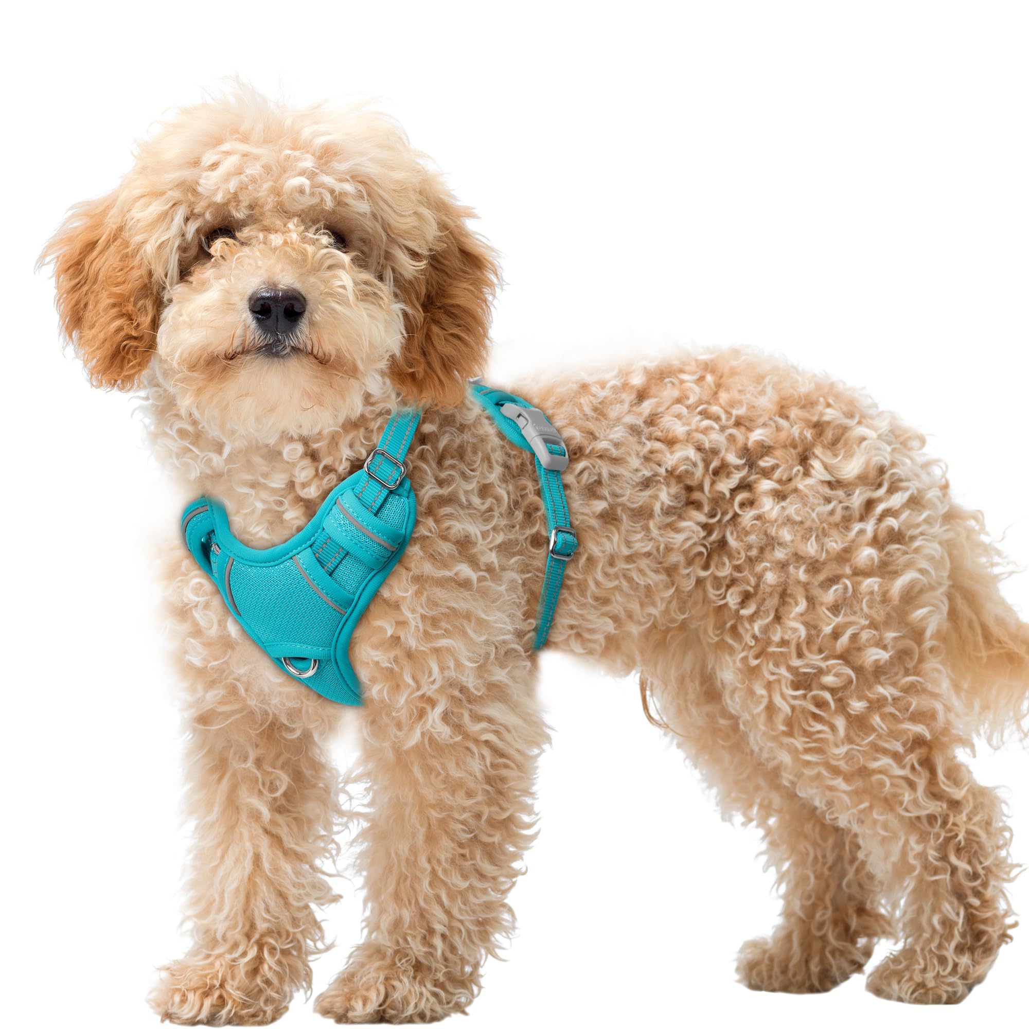 Photo 1 of BARKBAY No Pull Dog Harness Large Reflective Dog Harness with Front Clip and Easy Control Handle for Walking Training Running with ID tag Pocket(Ocean Blue,XS)