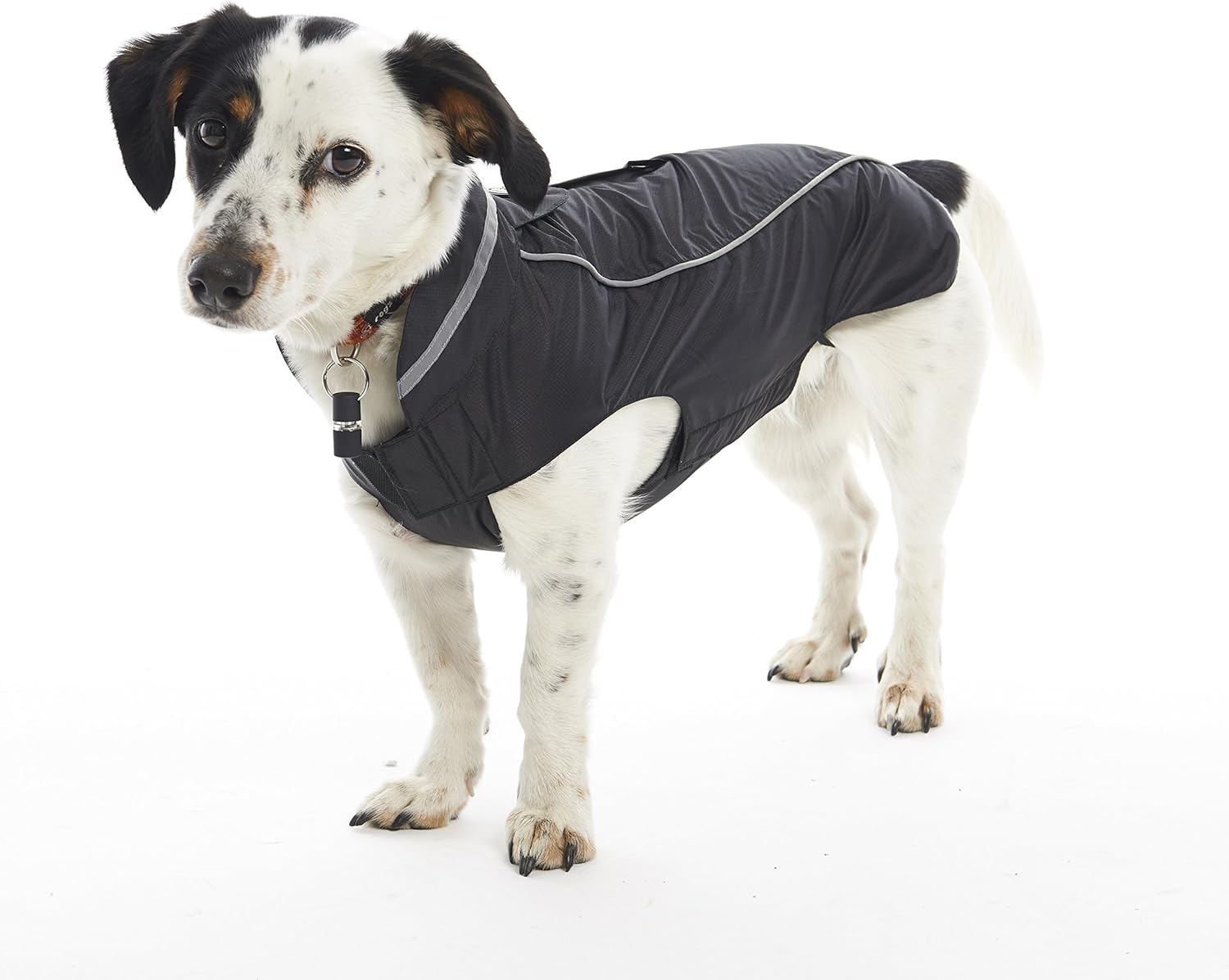 Buster raincoat Outlet
