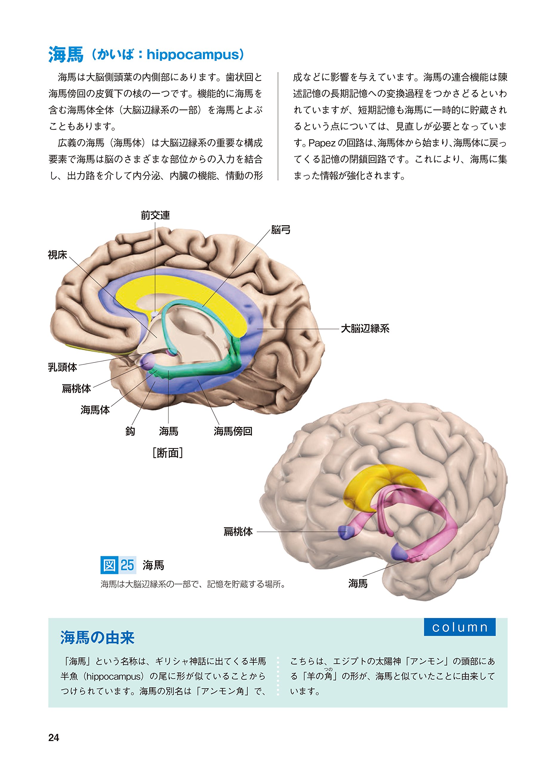 脳ナビ 竹内 京子 本 通販 Amazon