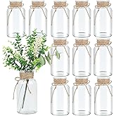 LEYIQU Vintage Glass Flower Vase, Farmhouse Glass Centerpiece Vases Mason Jars for Weddings, Parties & Home Decor Bulk (12, Transparent)