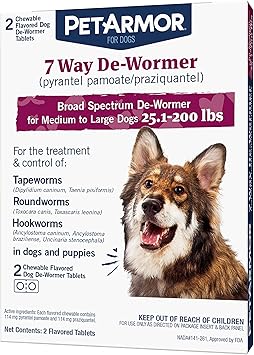 best commercial dog food