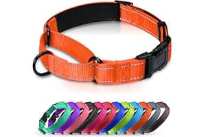 Erbine Neoprene Padded Martingale Collar for Dogs, Reflective Soft Nylon with Quick Release Buckle, Adjustable Dog Martingale Collars for Training & Daily Use (Orange,L)