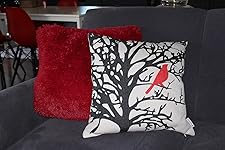 Review Image by Mom of Three