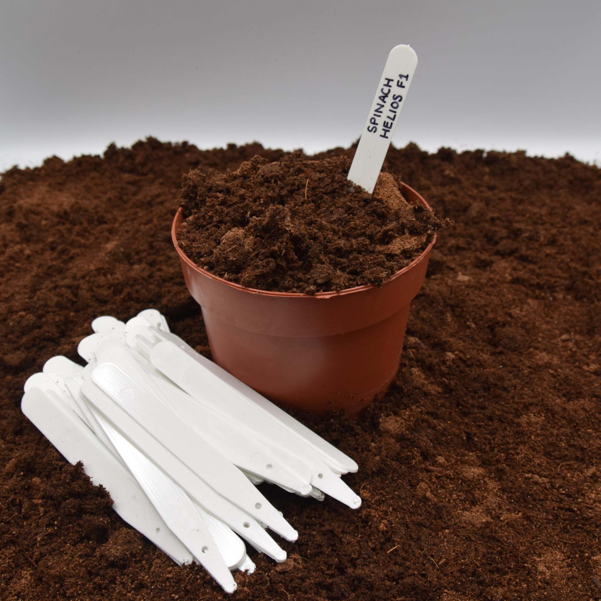 Premier Seeds Direct - Plastic Plant/Seed Labels - 5 INCH (50 Labels)