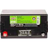Interstate Batteries 12V 110 AH SLA/AGM Deep Cycle Battery for Solar, Wind, and RV Applications - Insert Terminals (DCM0100)