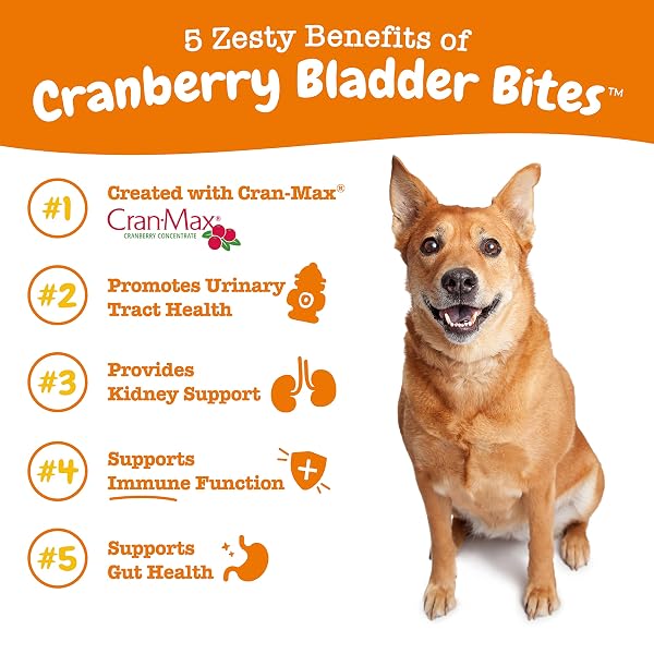 ZESTY PAWS CRANBERRY SUPPLEMENT FOR DOGS – BLADDER CONTROL FOR DOGS – URINARY TRACT SUPPORT – CRANBERRY CHEWS WITH D-MANNOSE, VITAMIN B6 & L-ARGININE – IMMUNE & GUT SUPPORT – BACON – 90 COUNT