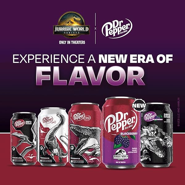 DR PEPPER SODA, 12 FL OZ CANS, 12 PACK