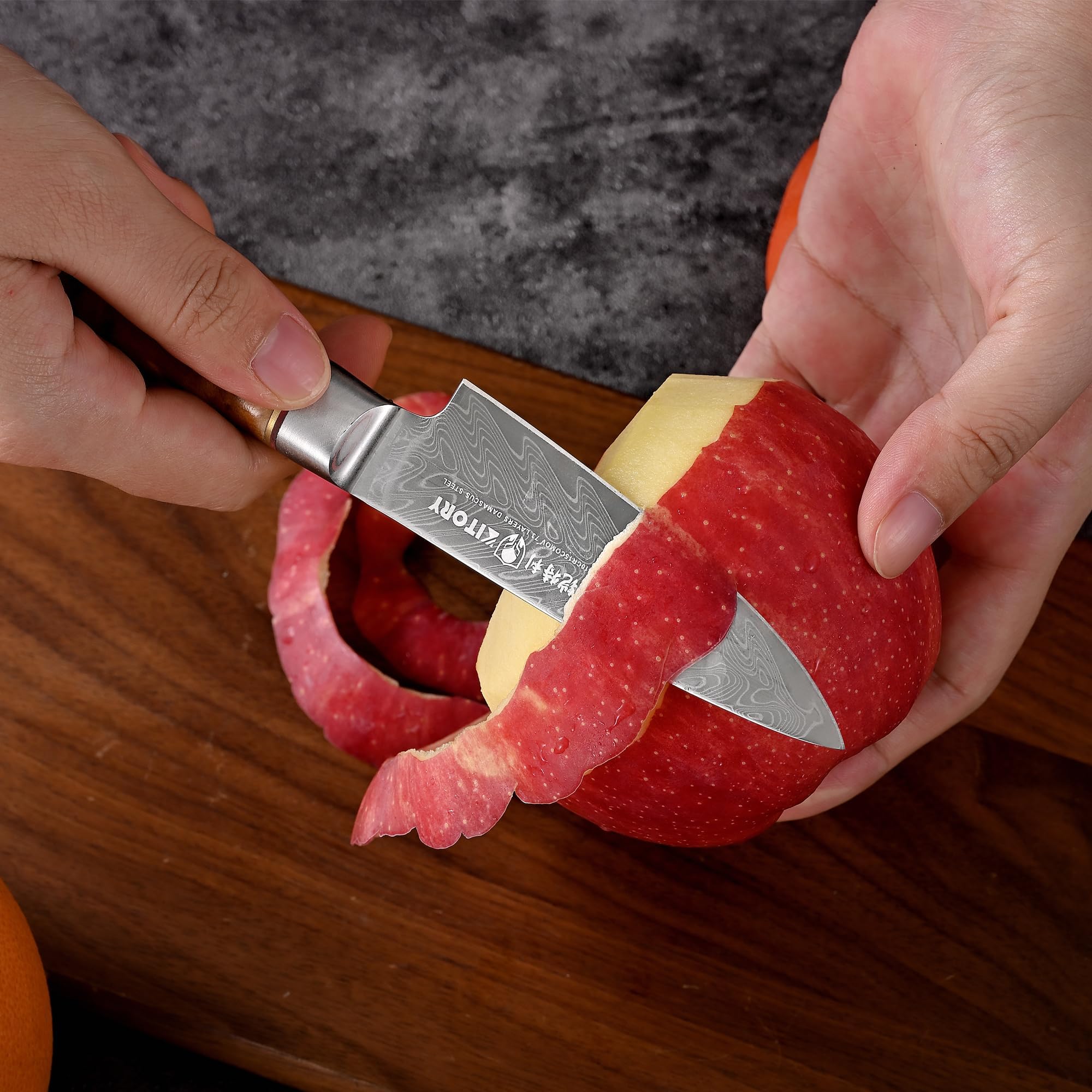 Kitory Schälmesser Damaststahl 73 Lagen Obstmesser Gemüsemesser 9 cm Klinge Aus 10Cr15CoMoV Stahl mit Weißer Schatten Holzgriff - Pro Damast Serie 3