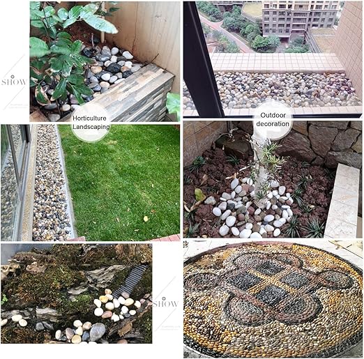 Aquarium Grind Rivier Rock Kleine Decoratieve Erwten Grind Natuurlijke Gemengde Kleur Stenen Voor Planten Aquarium Landschapsarchitectuur Vaas Vulstoffen Filter Materiaal Size 1 2cm 5kg Amazon Nl