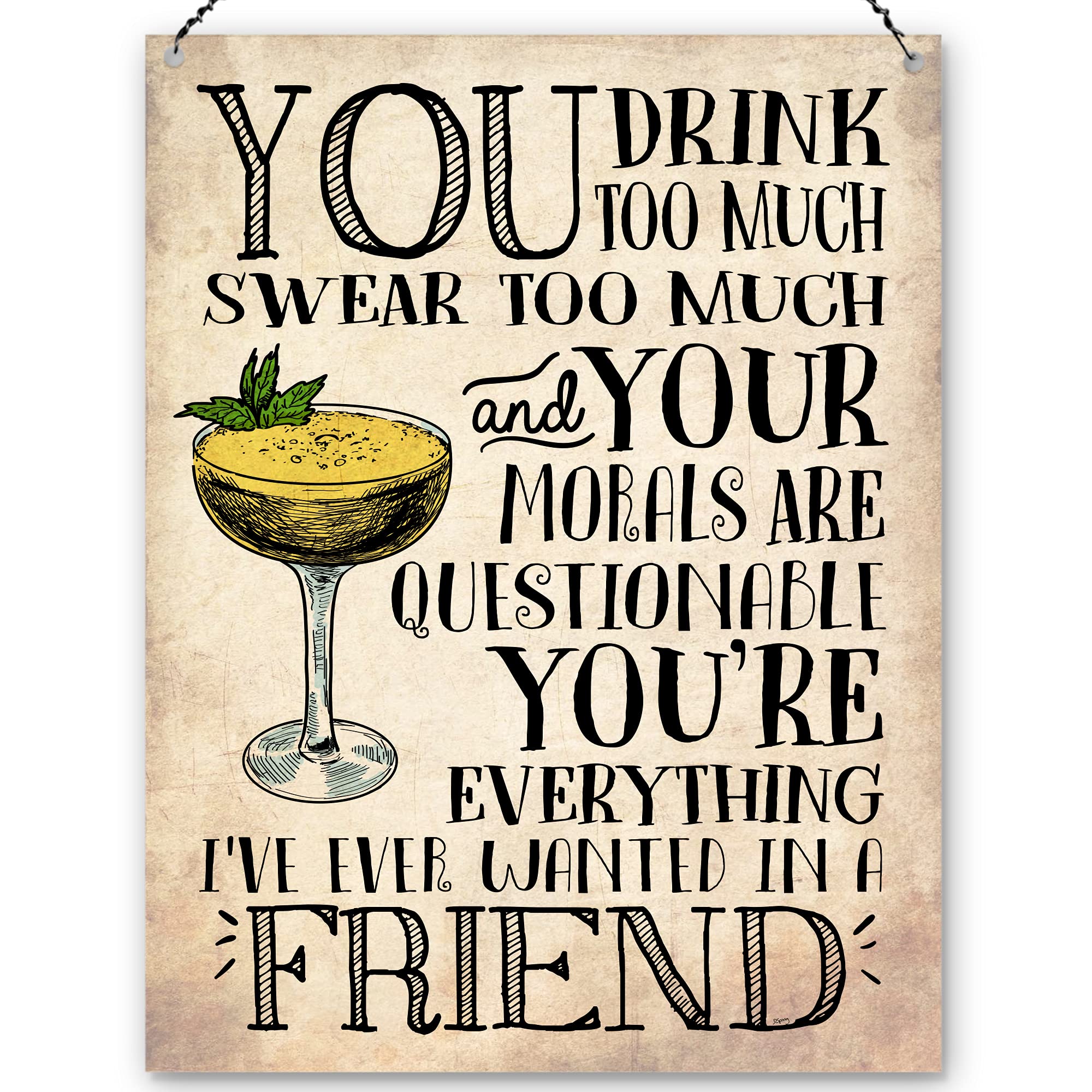 Dorothy Spring You Drink Too Much Funny Friendship Wall Quote Plaque Metal Sign Size 15x20cm