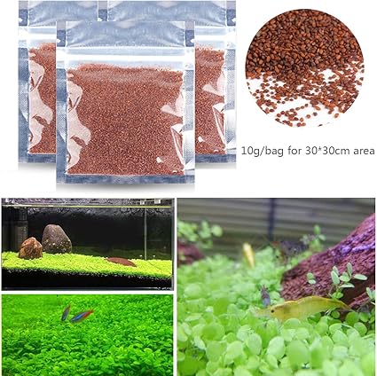 Amazon Com Springsmart Fish Tank Decor Water Plant Seeds Small