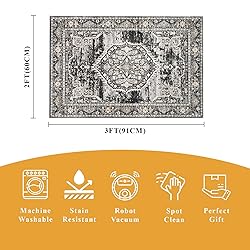 2x3 Washable Hallway Runner Rug: Oriental Indoor