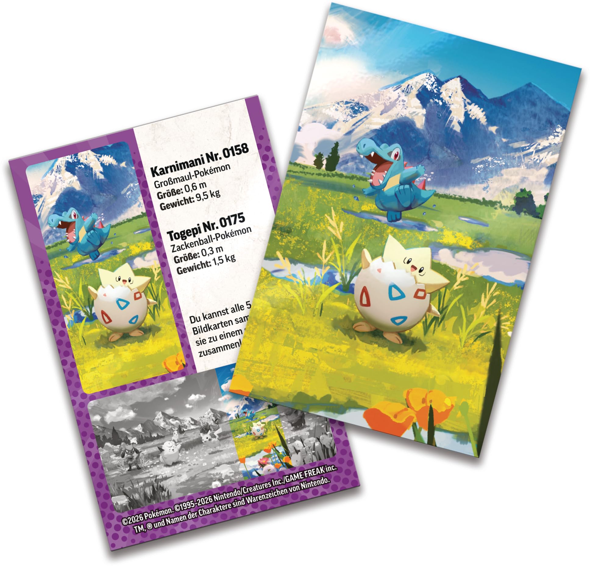 Pokémon-Sammelkartenspiel: Mini-Tin-Box Mega-Entwicklung – Erhabene Helden: Togepi und Karnimani (1 Stickerbogen, 1 Pokémon-Bildkarte und 2 Boosterpacks) 5