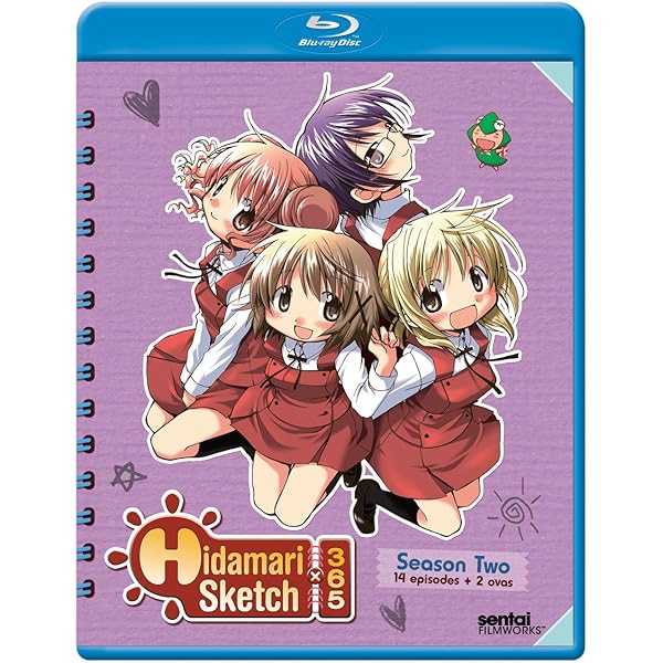 Amazon.com: HIDAMARI SKETCH PICTURE PERFECT COLLECTION