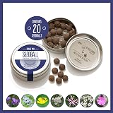 Seedball Shade Mix Seed Bombs Wild Flower Tin 20 Balls UK Brand view 2