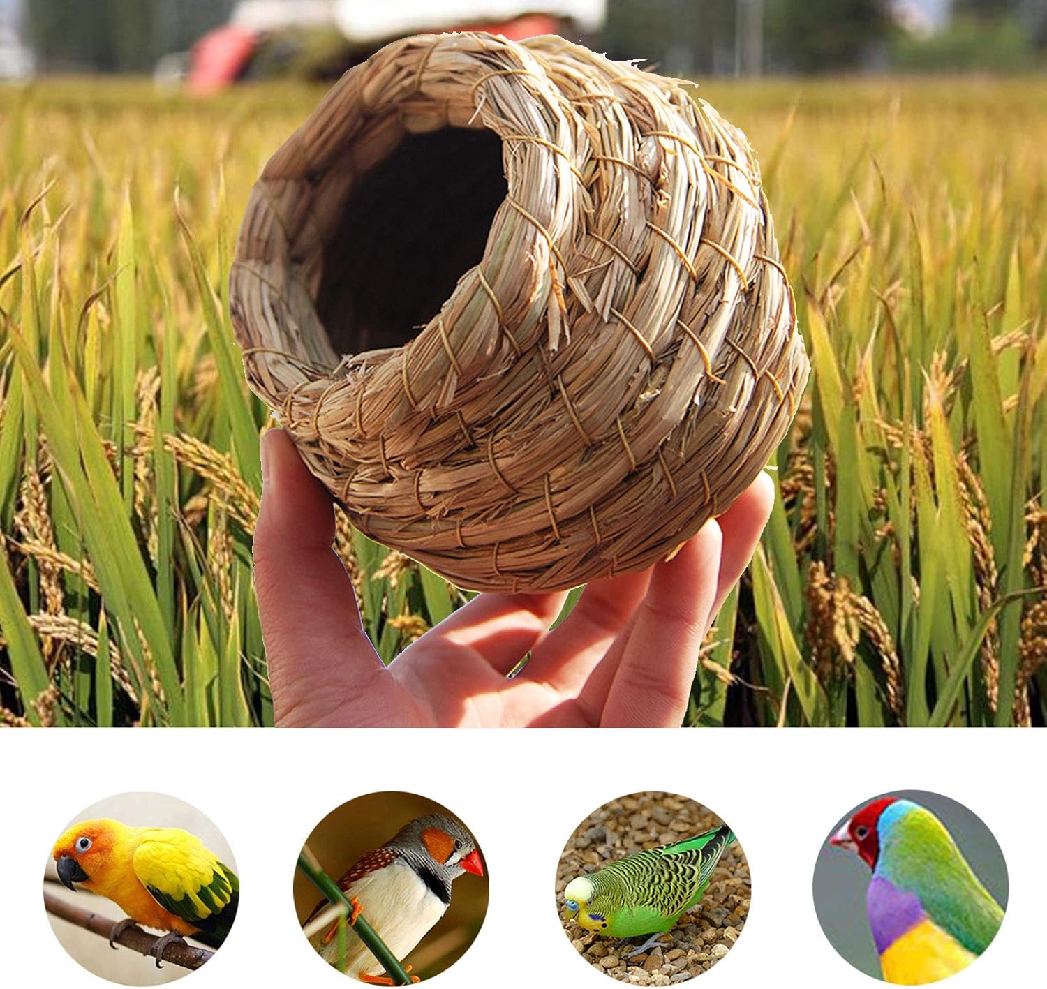 kathson Birdcages Straw Bird Nests Natural Grass Woven Birdhouse Resting Breeding Nesting Cages Hideaway Shelter for Finch Canary Budgie Lovebird Pearl Bird and Small Parrot  : Pet Supplies