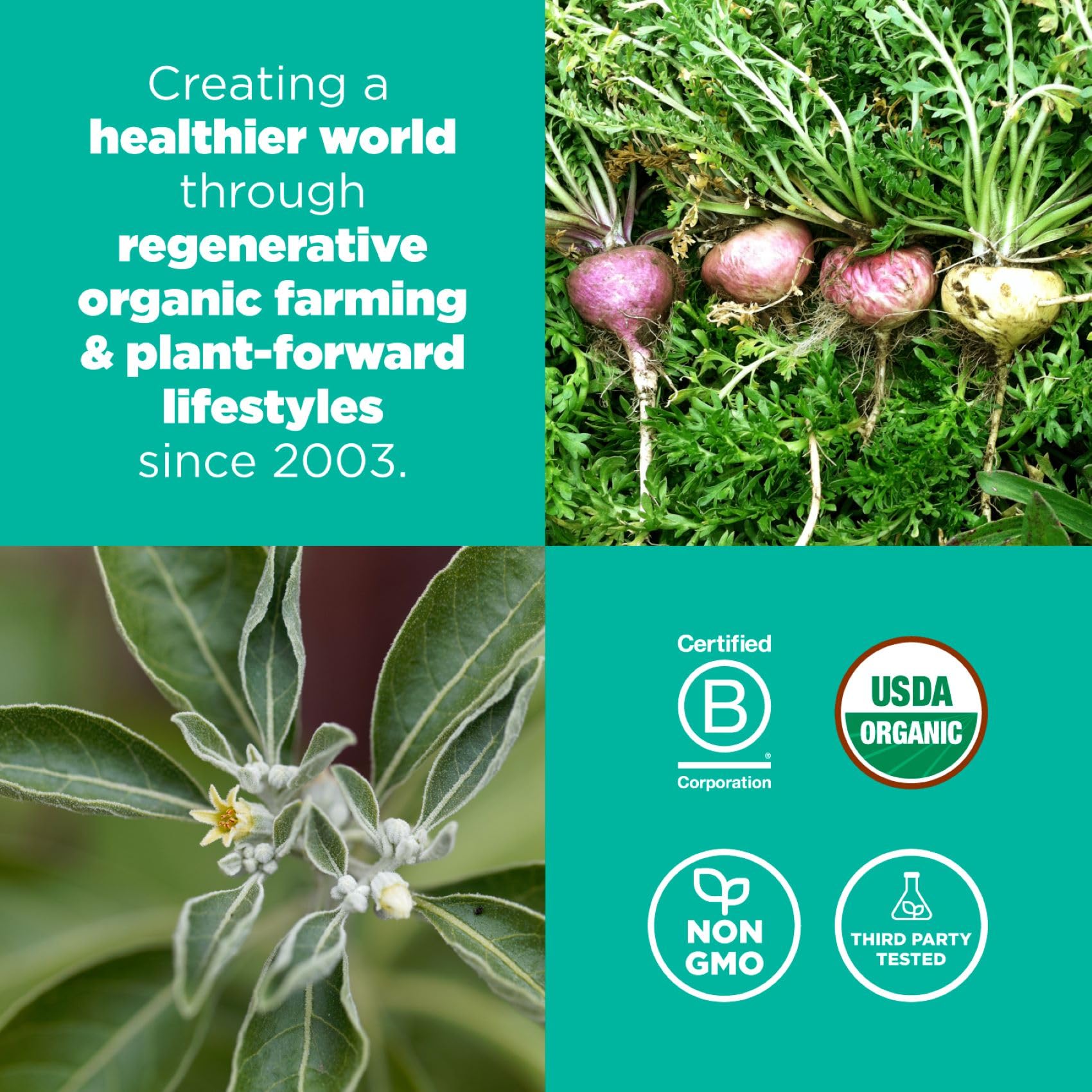 Navitas Organics Superfood+ Adaptogen Blend for Stress Support (Maca + Reishi + Ashwagandha), 6.3oz Bag, 30 Servings — Organic, Non-GMO, Vegan, Gluten-Free, Keto & Paleo.