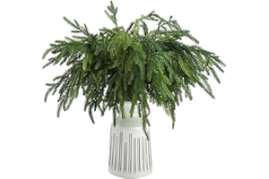 Jutom 12 Pcs 18 Inch Christmas Norfolk Pine Branches, Artificial Norfolk Branch Faux Plants Greenery Stem Pine Picks for Christmas Vase DIY Crafts Centerpiece Garland Wreath Home Decor